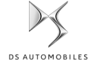 DS logo